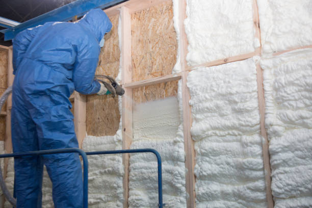 Best Attic Insulation Installation  in Cedar Bluff, VA